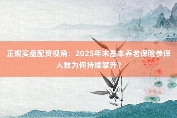 正规实盘配资视角：2025年末基本养老保险参保人数为何持续攀升？