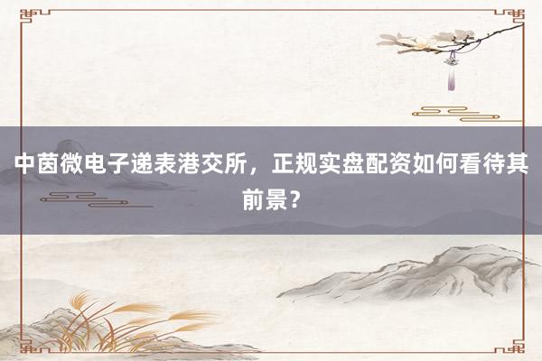 中茵微电子递表港交所，正规实盘配资如何看待其前景？