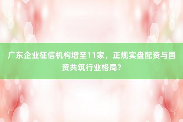 广东企业征信机构增至11家，正规实盘配资与国资共筑行业格局？