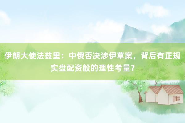 伊朗大使法兹里：中俄否决涉伊草案，背后有正规实盘配资般的理性考量？