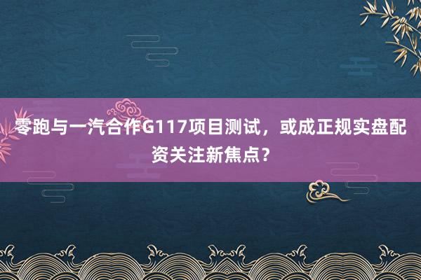零跑与一汽合作G117项目测试，或成正规实盘配资关注新焦点？