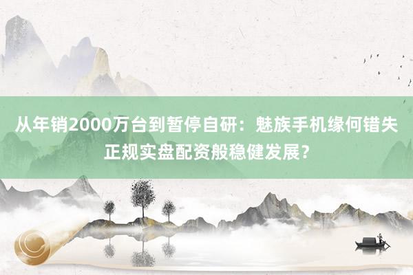 从年销2000万台到暂停自研：魅族手机缘何错失正规实盘配资般稳健发展？