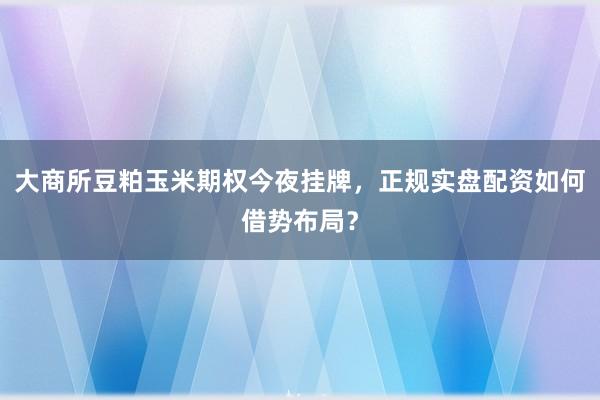 大商所豆粕玉米期权今夜挂牌，正规实盘配资如何借势布局？