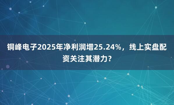 铜峰电子2025年净利润增25.24%，线上实盘配资关注其潜力？