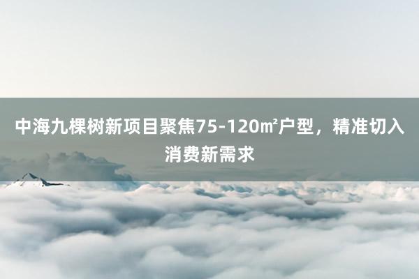 中海九棵树新项目聚焦75-120㎡户型，精准切入消费新需求