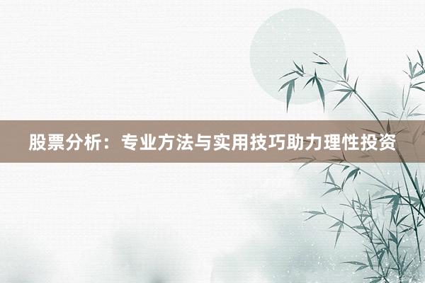 股票分析：专业方法与实用技巧助力理性投资