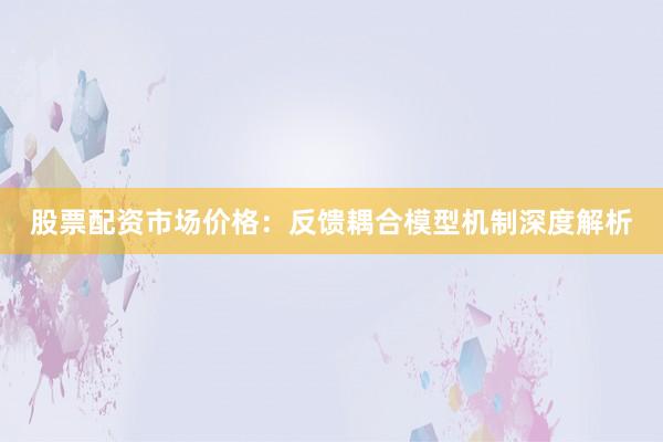 股票配资市场价格：反馈耦合模型机制深度解析