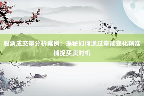 股票成交量分析案例：揭秘如何通过量能变化精准捕捉买卖时机