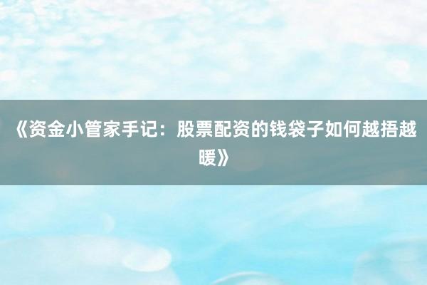 《资金小管家手记：股票配资的钱袋子如何越捂越暖》