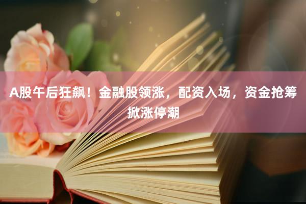 A股午后狂飙！金融股领涨，配资入场，资金抢筹掀涨停潮