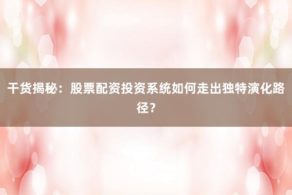 干货揭秘：股票配资投资系统如何走出独特演化路径？